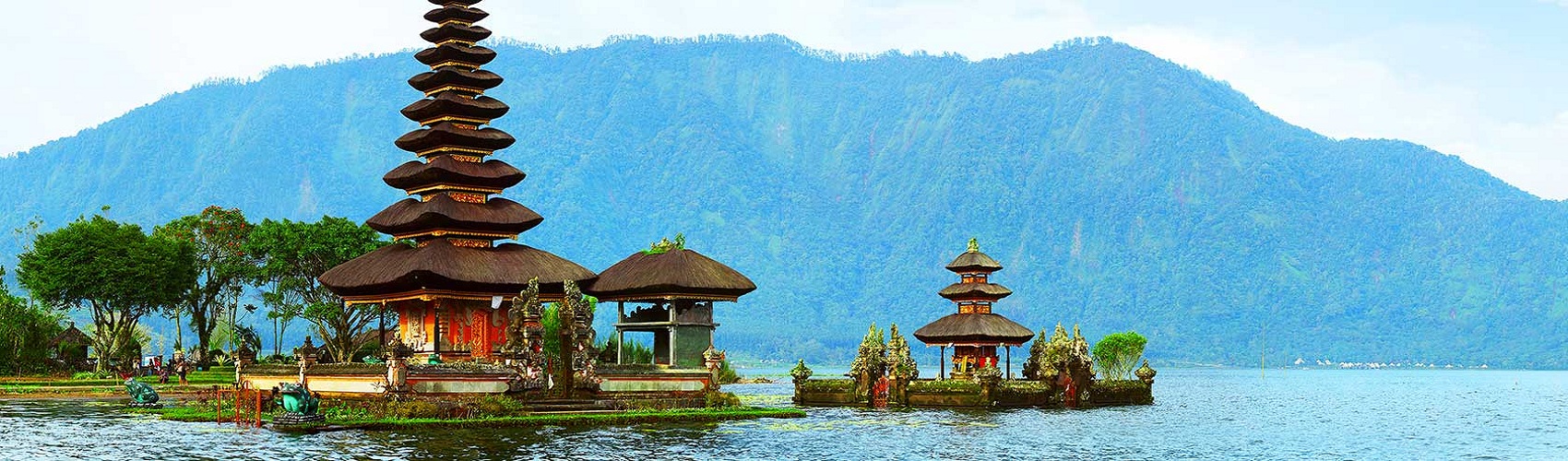 Banner Image of Bali Experts